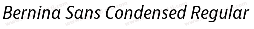 Bernina Sans Condensed Regular字体转换